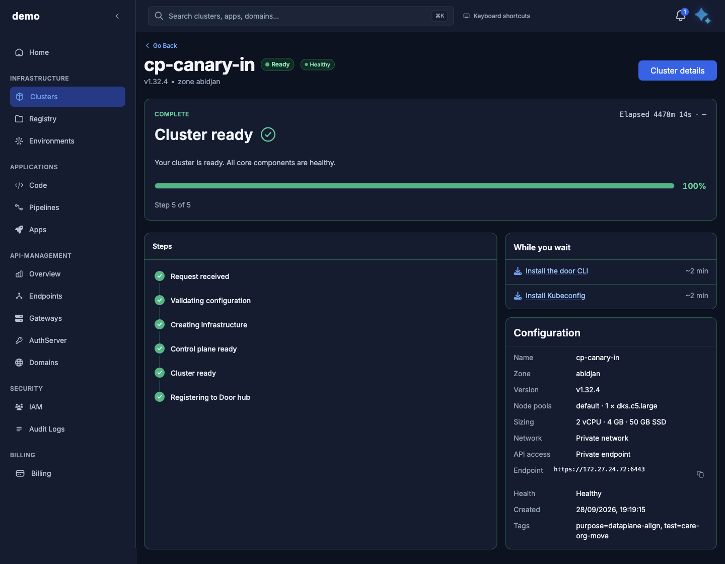 Provisioning screen after the cluster is ready, demo organization